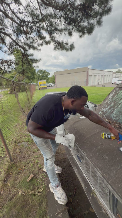 All Purpose Car Cleaner