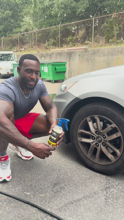 All Purpose Car Cleaner
