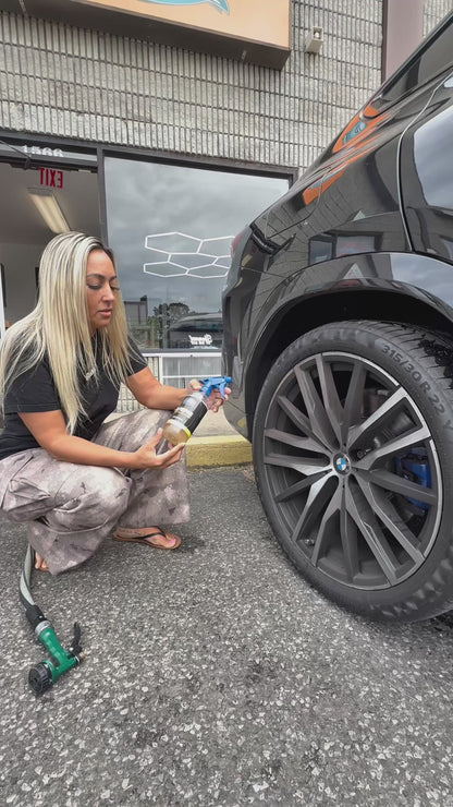 All Purpose Car Cleaner